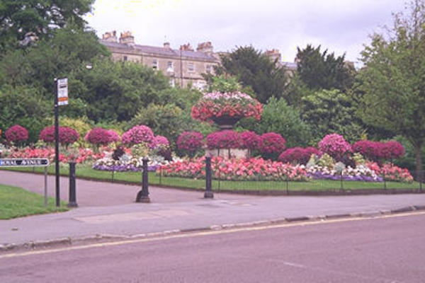 Bath gardens