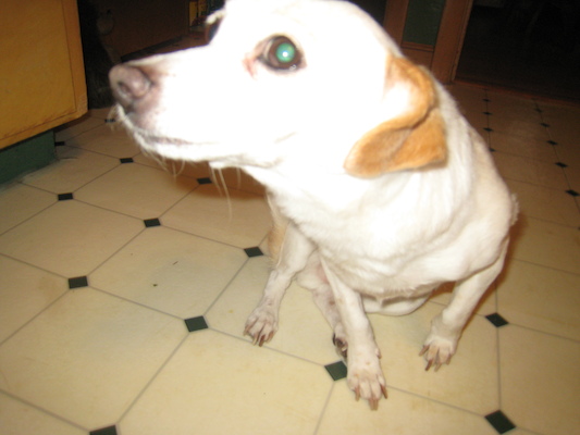 Emily closeup (02-10-2010 16:00)