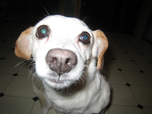 Emily closeup (02-10-2010 16:00)