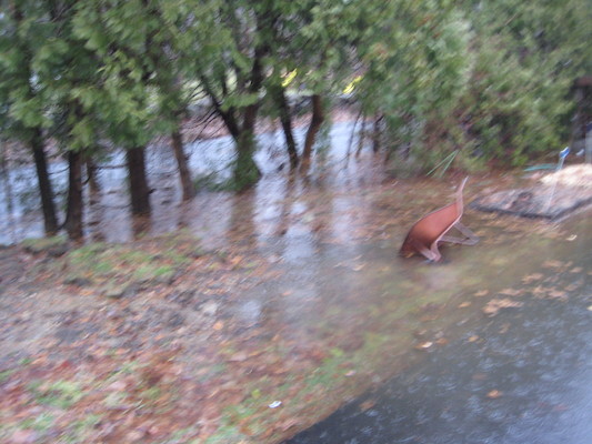 img_3580 (03-14-2010 13:18)