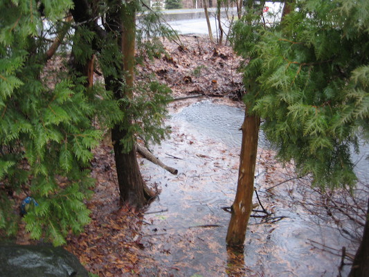 img_3581 (03-14-2010 13:18)