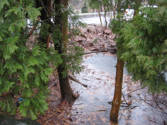 img_3582 (03-14-2010 13:18)