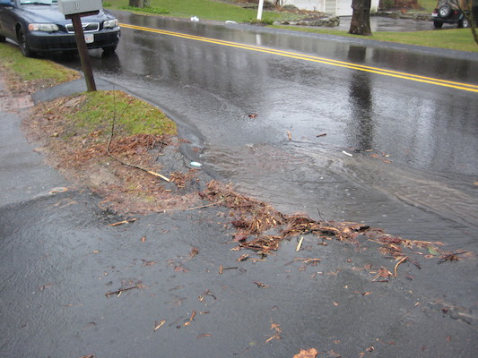 img_3585 (03-14-2010 13:18)