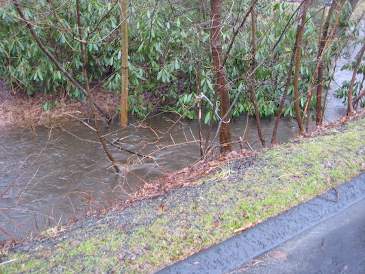 img_3589 (03-14-2010 13:19)