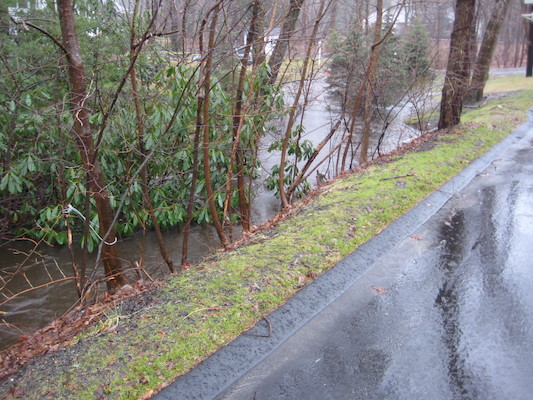 img_3590 (03-14-2010 13:19)