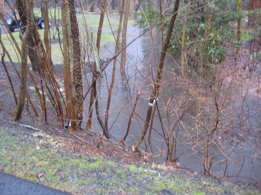 img_3591 (03-14-2010 13:19)