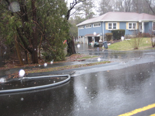 img_3595 (03-14-2010 13:54)