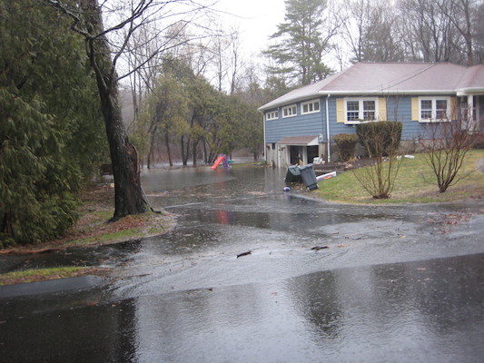 img_3596 (03-14-2010 13:54)