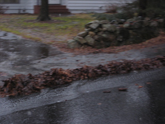 img_3598 (03-14-2010 13:55)