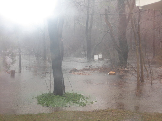 img_3610 (03-14-2010 14:13)