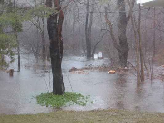 img_3611 (03-14-2010 14:13)