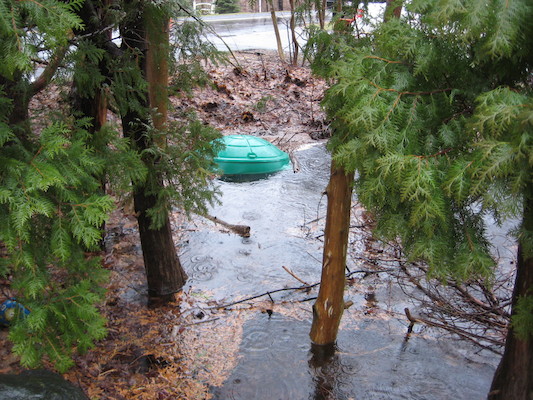 img_3619 (03-14-2010 19:42)