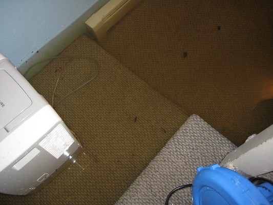 img_3621 (03-14-2010 19:45)