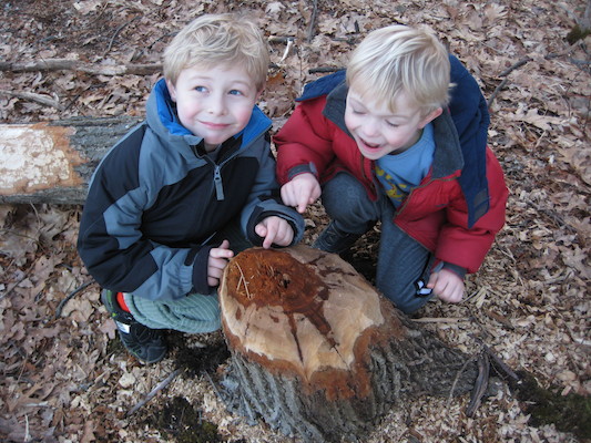 Cole and Tim examining a beaver's work at Fawn lake (03-05-2010 20:57)