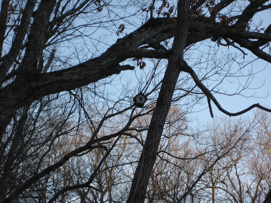Fawn lake (03-05-2010 20:57)