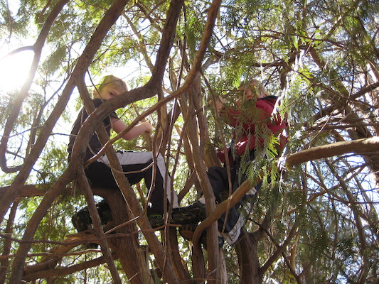 Tim and Cole in a tree (03-06-2010 13:56)