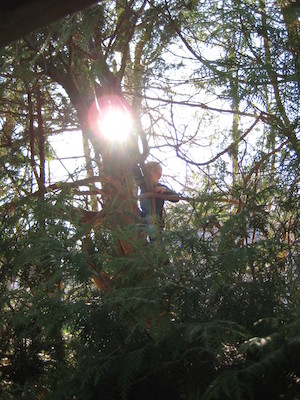 Cole up a tree (03-18-2010 20:39)