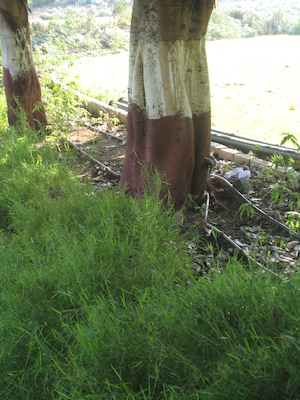 Walking near the Pune hotel (03-16-2010 22:36)