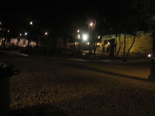 Chokhi Dhani (03-17-2010 09:16)