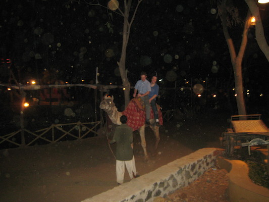 Ben and Mark on a Camel at Chokhi Dhani (03-17-2010 09:23)