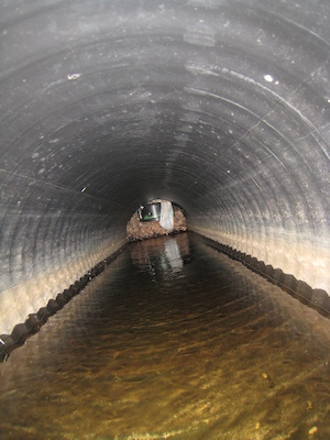 The blocked culvert under Sweetwater (03-21-2010 10:09)
