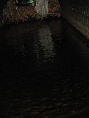The blocked culvert under Sweetwater (03-21-2010 10:10)