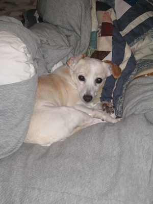 Little pile of Emily (03-22-2010 19:46)