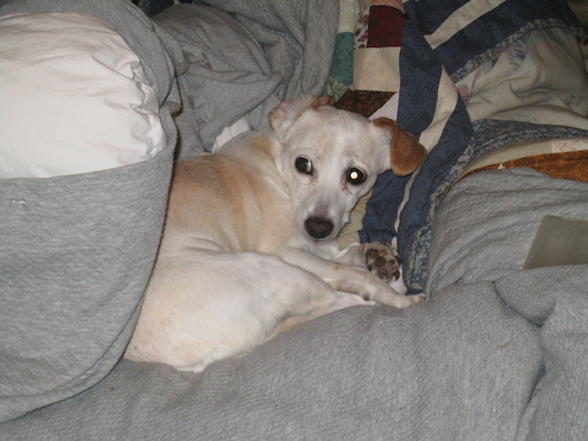 Little pile of Emily (03-22-2010 19:46)