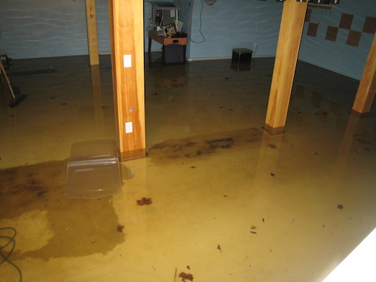 The flooded basement (03-30-2010 19:05)