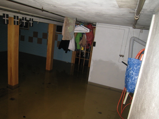 The flooded basement (03-30-2010 19:06)
