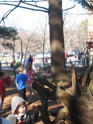 Easter egg hunt (04-03-2010 08:06)