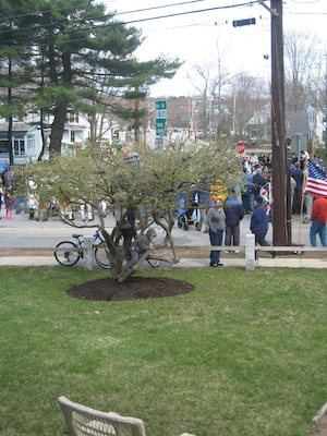 Kids in a tree (04-10-2010 09:49)