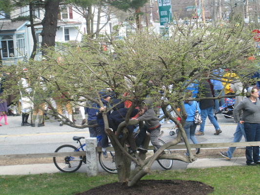 Kids in a tree (04-10-2010 09:49)