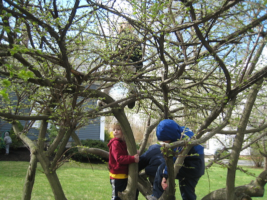 Kids in a tree (04-10-2010 09:50)
