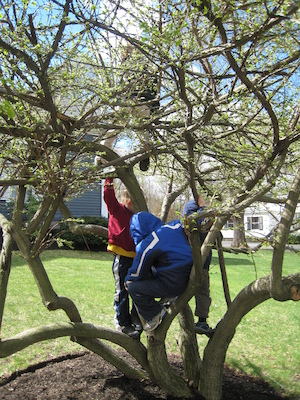 Kids in a tree (04-10-2010 09:50)