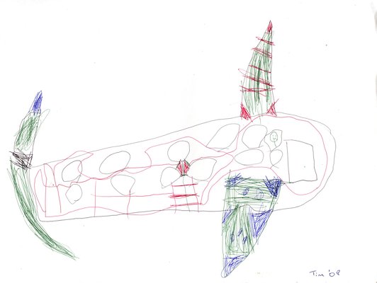 Tim "Airplane" (12-02-2009 21:30)