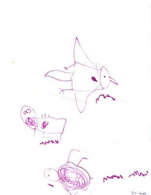 Tim "Birds" (10-19-2009 21:11)