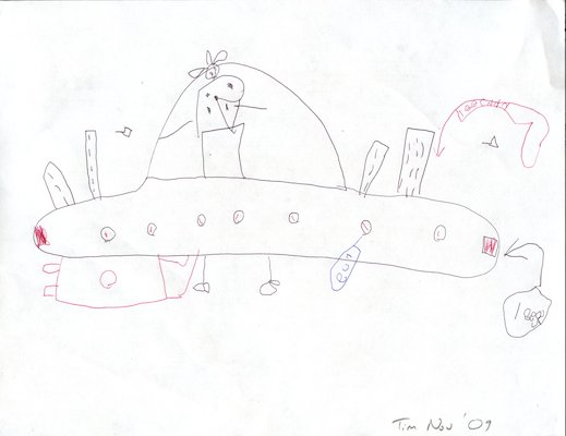 Tim "Spaceship Plan" (11-18-2009 20:55)