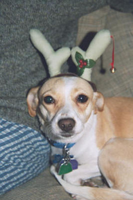 Emily with Antlers
