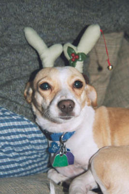 Emily with Antlers