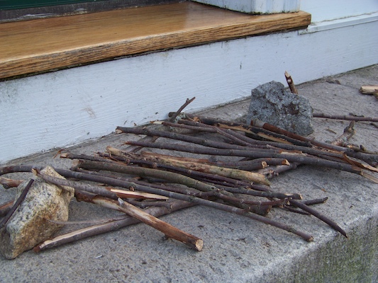 100_4332 (05-13-2010 18:50)