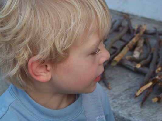 100_4335 (05-13-2010 18:52)