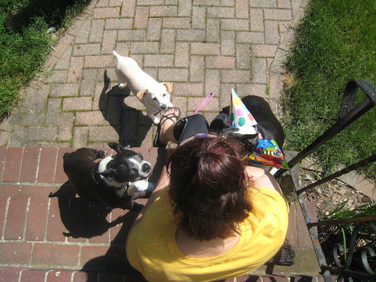 Xine and Cubby, Emily and Bruno (sporting his party hats) (05-05-2010 13:54)