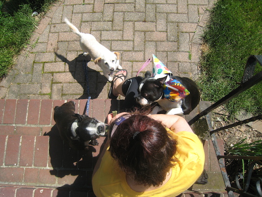 Xine and Cubby, Emily and Bruno (sporting his party hats) (05-05-2010 13:54)