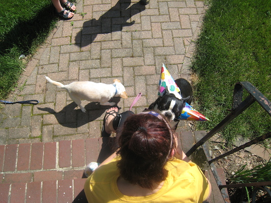 Xine and Emily and Bruno (sporting his party hats) (05-05-2010 13:54)