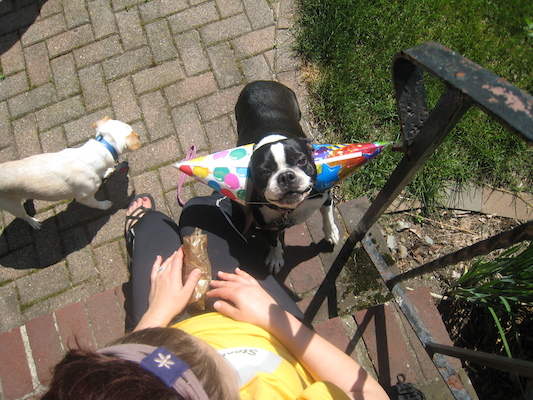 Xine and Emily and Bruno (sporting his party hats) (05-05-2010 13:55)