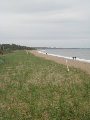 Ferry Beach (05-08-2010 08:43)