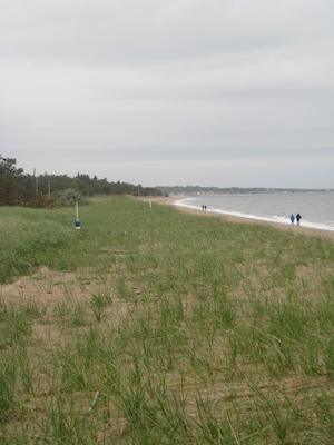 Ferry Beach (05-08-2010 08:43)
