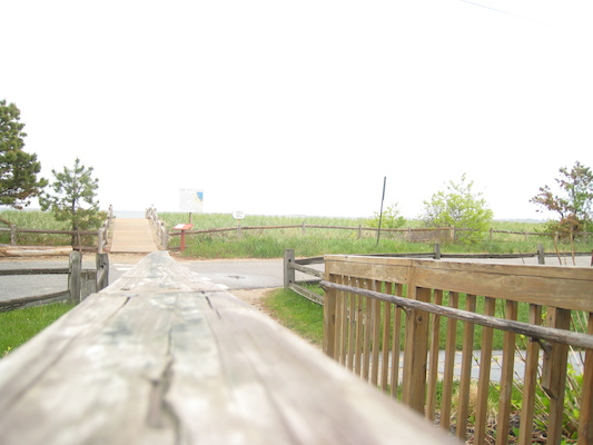 Ferry Beach (05-08-2010 08:51)