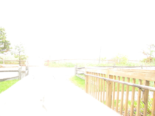 Ferry Beach (05-08-2010 08:51)